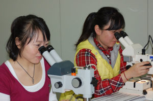 Teilnehmer des Flügel-Kurses an der FAU untersuchen Karbonatgestein unter dem Mikroskop (Bild: FAU)