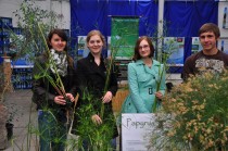 Stellen ihr eigenes Papyrus her: Die Auszubildenden Yvonne Reinhardt (Stadtbibliothek Erlangen), Anna Trzoska, Valerie Kleindienst (beide UB) und Jonas Eichler (Botanischer Garten) (von links). Foto: Botanischer Garten Erlangen