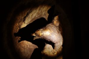 In die Neischl-Höhle im Botanischen Garten in Erlangen zieht eine Bronzeskulpur, die Bären zeigt, ein. (Bild: Walter Welß)