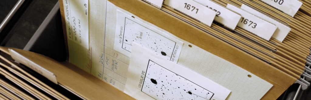 Files containing astronomical slides in the slide collection (image: Isi Kunath)