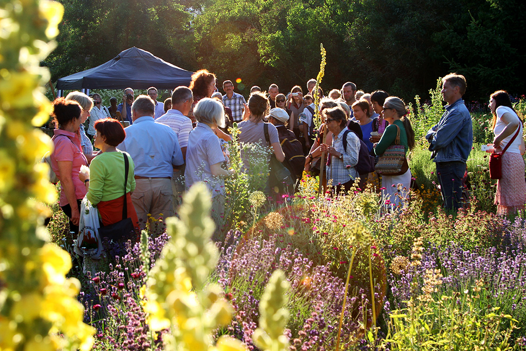 Elke Puchtler bei ihrer Führung durch den Aromagarten anlässlich des Aromagartenfestes. (Bild: Claus Heuvemann)