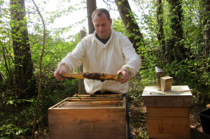 Gerhard Müller-Engler ist staatlicher Fachberater für Bienenzucht. (Bild: Privat)