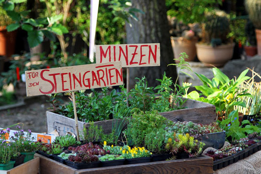 Zum Artikel "Pflanzenbörse und Führung im Botanischen Garten"