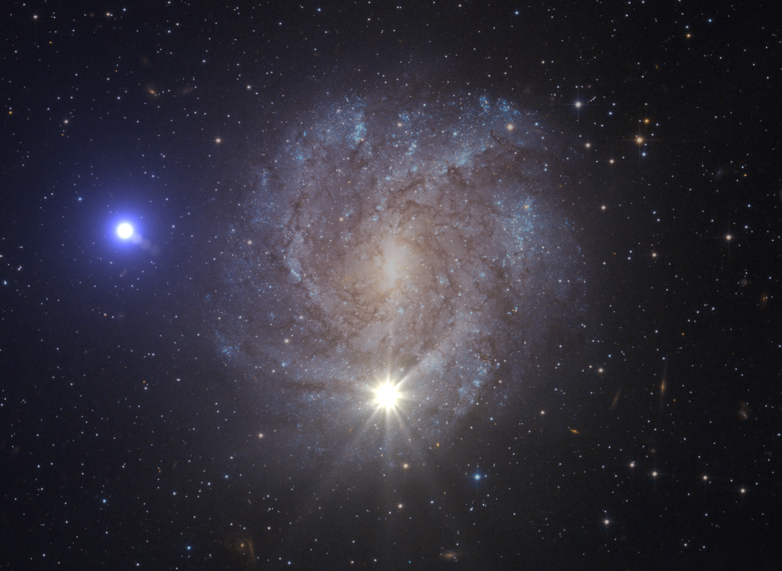 Seit einer thermonuklearen Supernova hat der schnellste Stern der Milchstraße mit dem Namen US 708 eine solch hohe Geschwindigkeit, dass er sogar unsere Galaxie verlassen wird. Illustration: ESA/Hubble, NASA und Stephan Geier