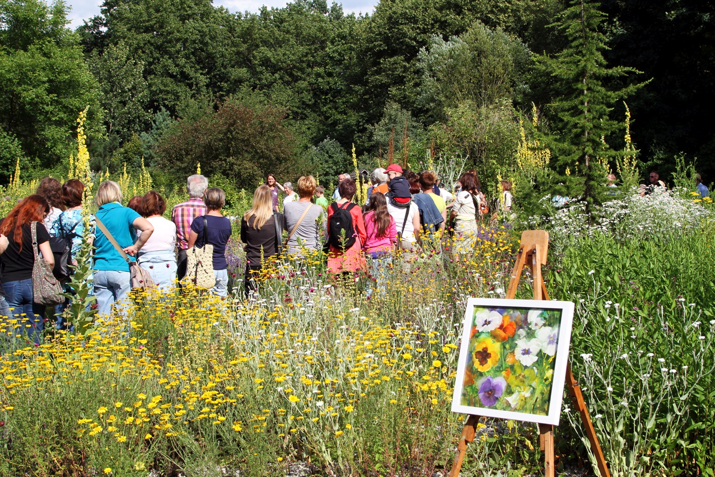 Aromagartenfest im Botanischen Garten Erlangen (Pressebild: Claus Heuvemann)