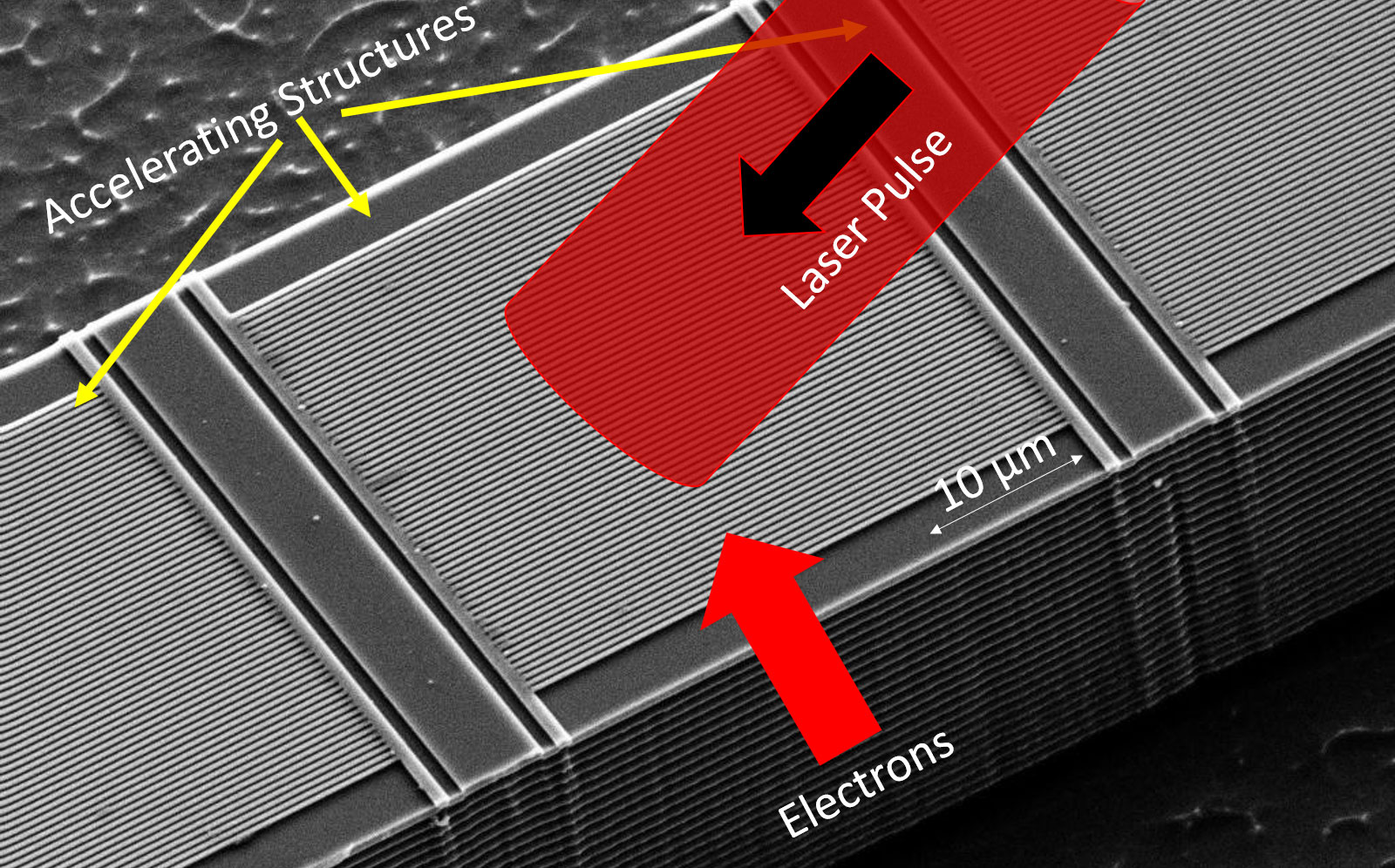 Die Abbildung zeigt die Struktur des Beschleunigers auf einem Mikrochip: Die Elektronen werden extrem nah an einer mikrostrukturierten Glasstruktur (gelbe Pfeile) entlanggeschossen. Von der Seite werden durch die feine Glasstruktur hindurch kurze intensive Laserpulse auf dieElektronen fokussiert, wodurch die Elektronen beschleunigt werden. Die nanostrukturierten Beschleuniger-Strukturen sind für das bloße Auge nur erkennbar, wenn man sich das Bild in hoher Auflösung ansieht (Bild: FAU/Joshua McNeur).