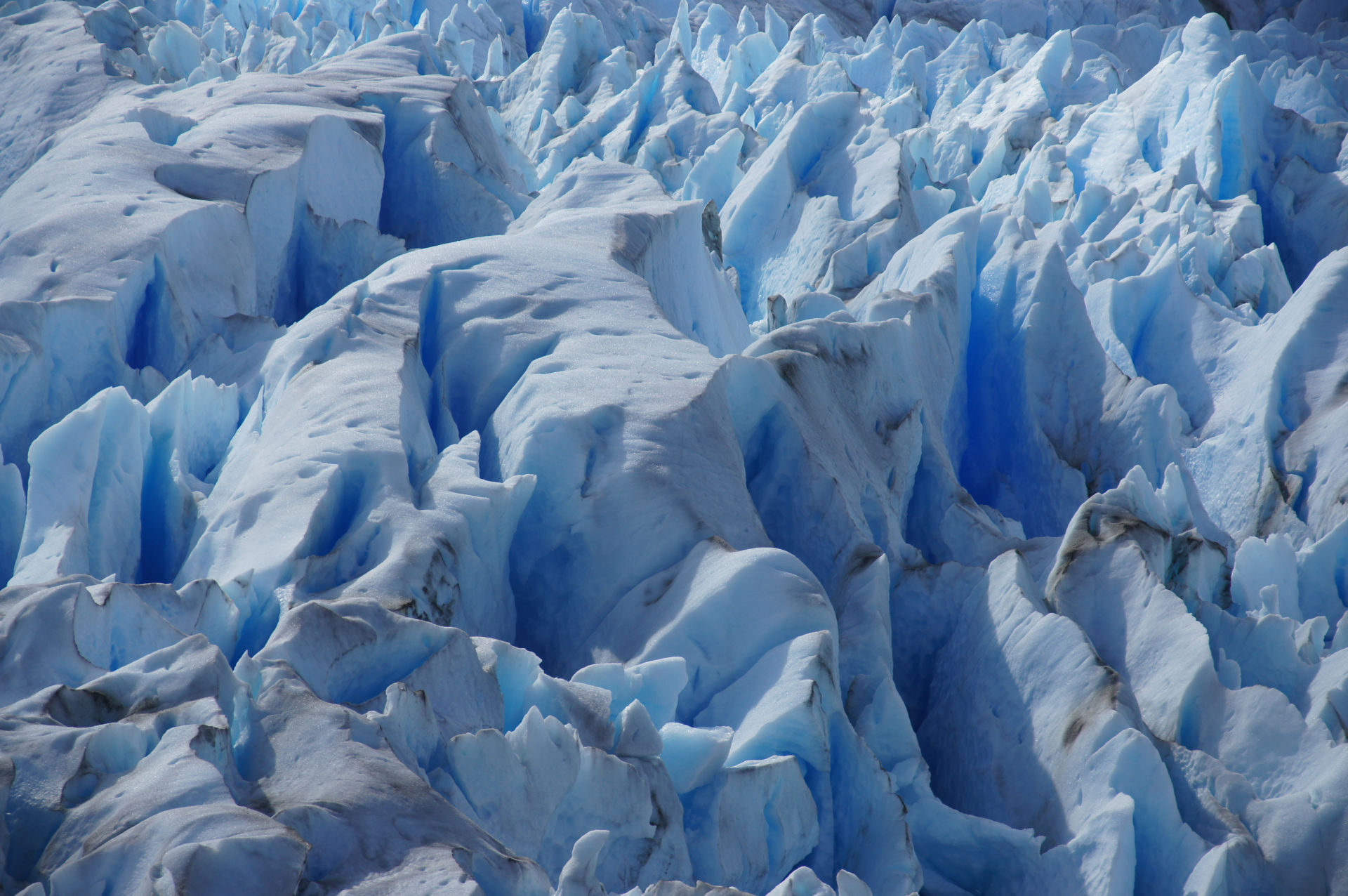 Das blaue Eis des Glacier Grey. (Bild: Matthias Braun)