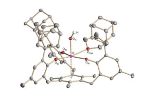 The uranium-based catalyst developed by FAU researchers. (Image: Dr. Frank W. Heinemann)