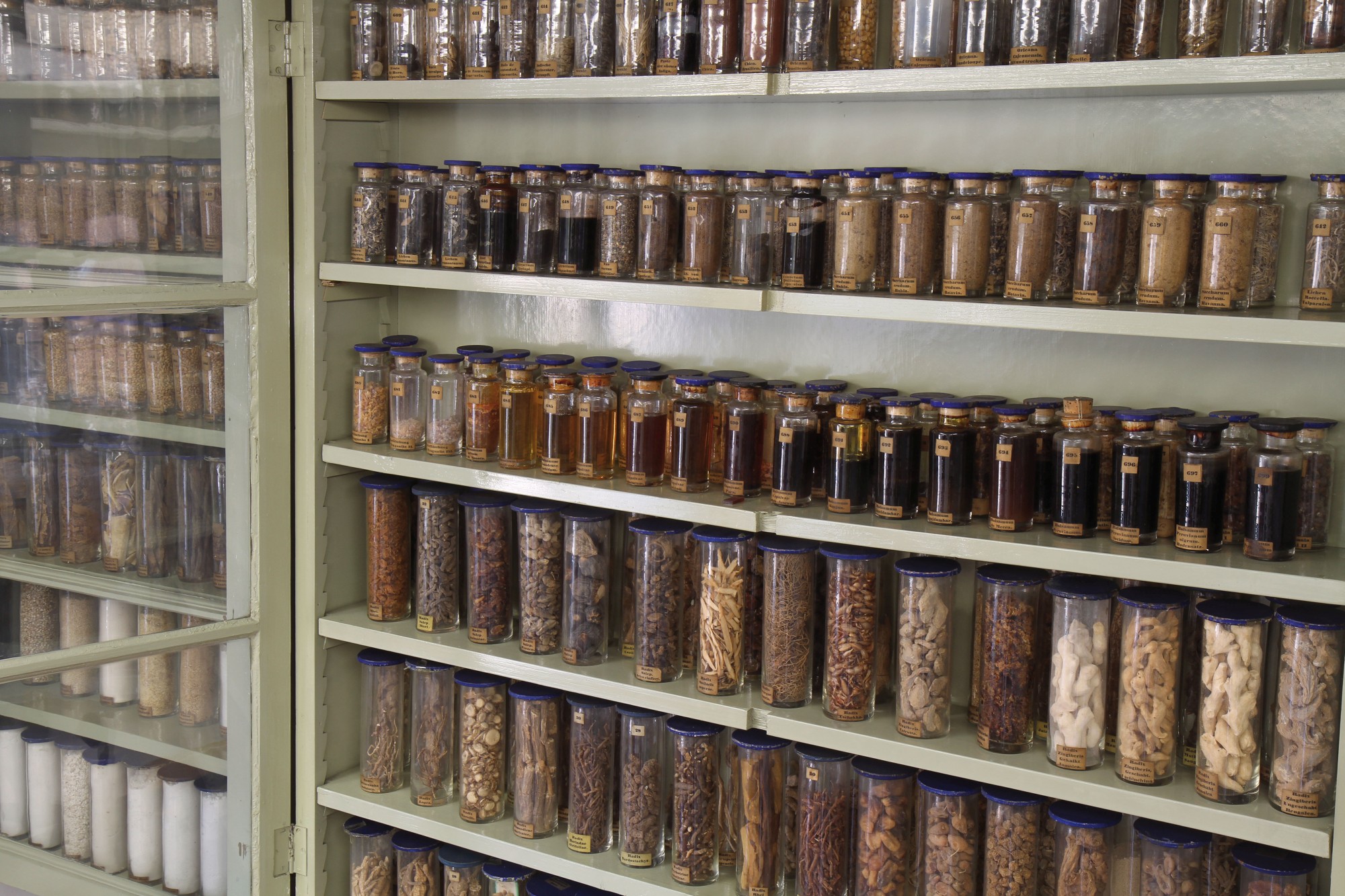 Vitrinenschrank mit Rohstoffen zur Arzneimittelherstellung (Bild: Georg Pöhlein)