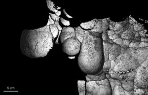 Image from a 3D scan of the cave clouds and lines in the Mäanderhöhle cave. (Image: Andreas Pastoors)