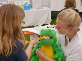 Auch Teddys brauchen manchmal einen Arzt