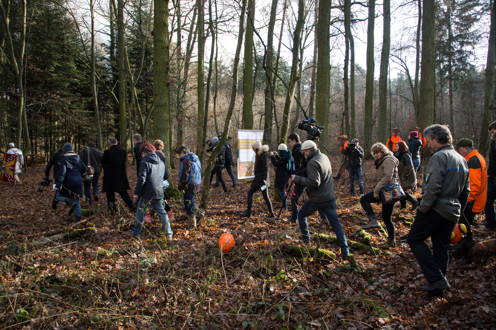 Am 15. Dezember 2016 fiel der Startschuss für das Projekt mit dem Schlagen des ersten Baums für den Bootsbau. (Bild: FAU/Georg Pöhlein)