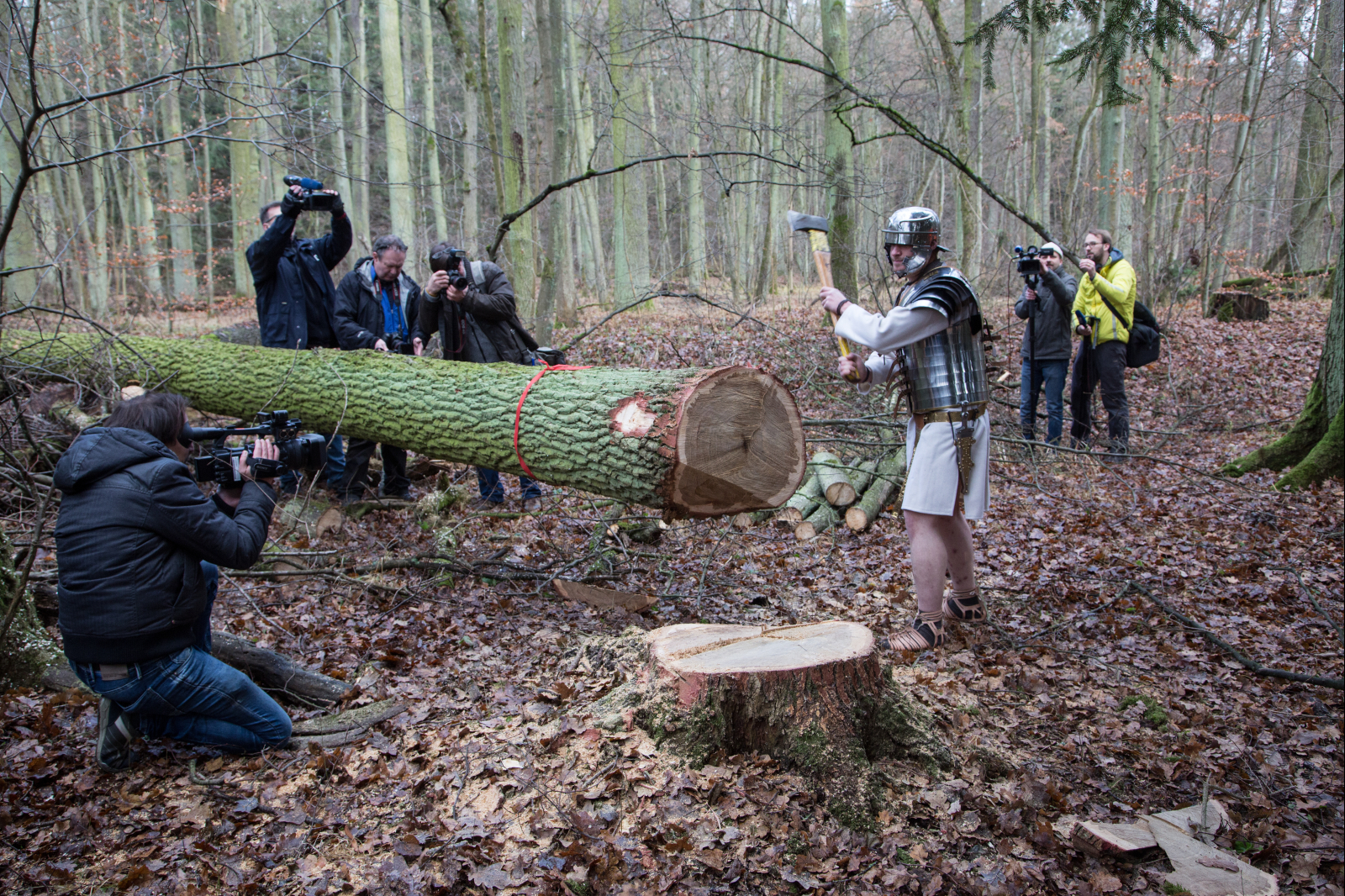 Am 15. Dezember 2016 fiel der Startschuss für das Projekt mit dem Schlagen des ersten Baums für den Bootsbau. (Bild: FAU/Georg Pöhlein)