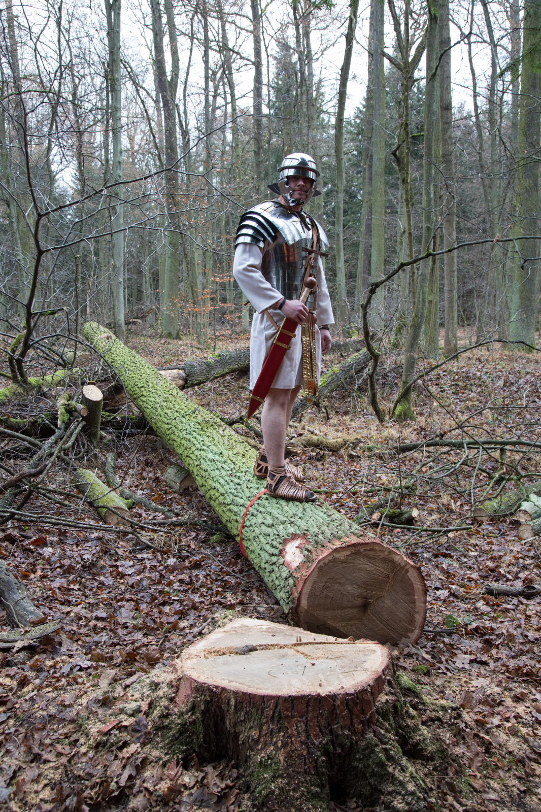 Am 15. Dezember 2016 fiel der Startschuss für das Projekt mit dem Schlagen des ersten Baums für den Bootsbau. (Bild: FAU/Georg Pöhlein)