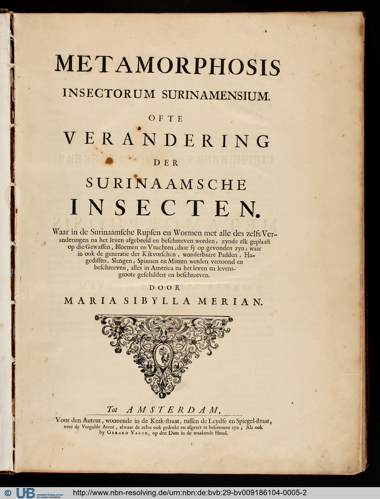 Metamorphosis insectorum surinamensium,Titelblatt, Amsterdam, 1705 (Bild: FAU/UB)
