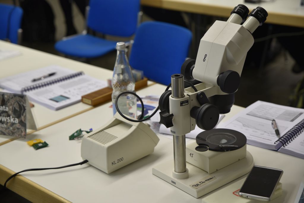 Unverzichtbar bei der Mikrofaziesanalyse - das Mikroskop. (Bild: FAU/Christina Dworak)