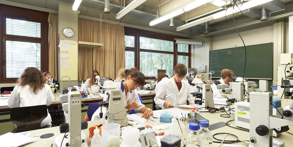 Even while studying for a Bachelor’s degree, students are involved in research (Image: FAU/David Hartfiel)