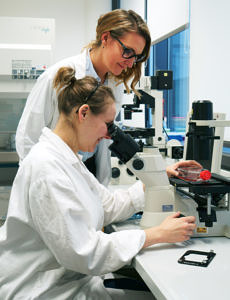 Dr. Anna Becker, Leiterin der Arbeitsgruppe Bioanalytik und Lisa Jordan, Doktorandin im Karpfenvirenprojekt am Mikroskop. Wie dem ersten Bilde zu entnehmen ist, verändern Karpfenzellkerne nach Infektion durch den KHV-Virus ihre Form, so dass eine Infektion am Mikroskop zu beobachten ist. (Bild: FAU/Andreas Perlick)