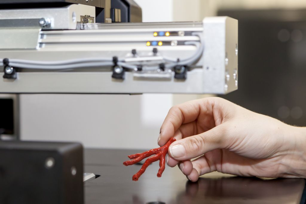 Hannah Riedle präsentiert das Silikonmodell eines Blutgefäßeses aus dem 3D-Drucker. Es entstand während ihres Aufenthalts am ACEO Campus. (Bild: Georg Willmerdinger/Wacker Chemie AG)