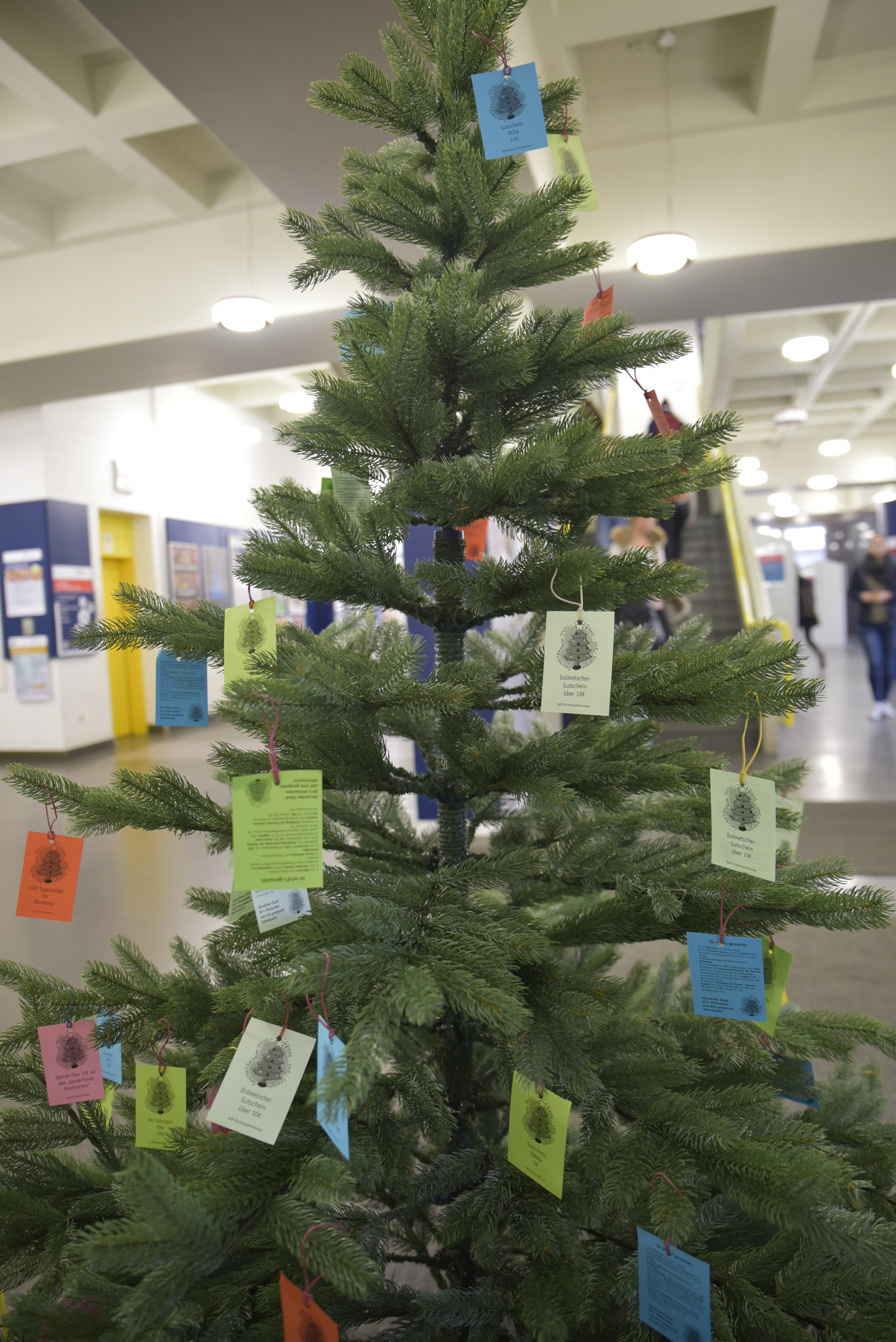 Ein weiterer Baum befindet sich in der Hauptbibliothek in Erlangen. (Bild: FAU/Sophia Baumann)