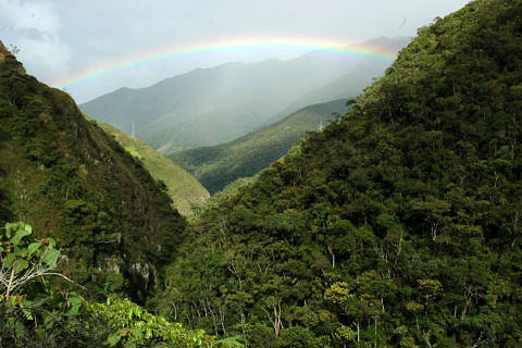 Bedrohter Regenwald in Ecuador