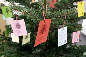 Gift trees at universities