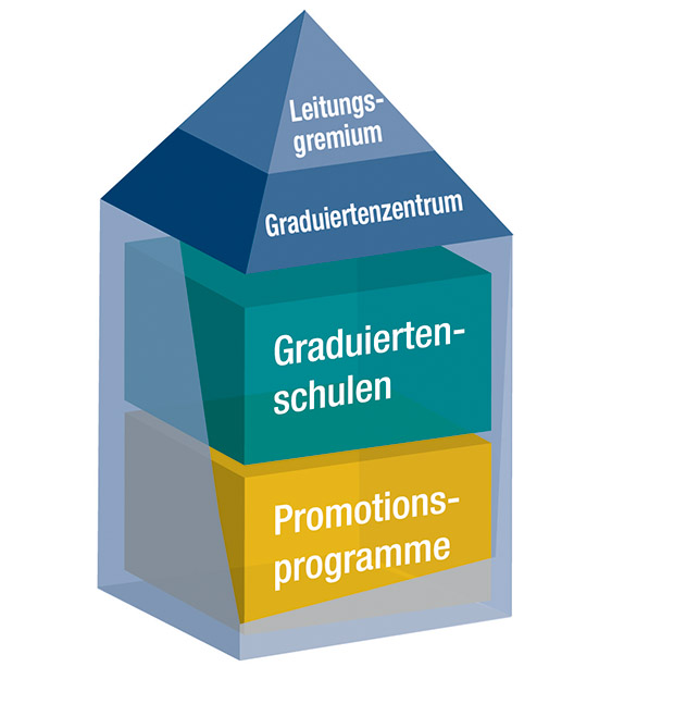 Grafik zu den Programmen der Universität