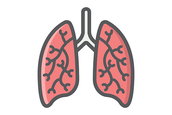 Grafik Lunge