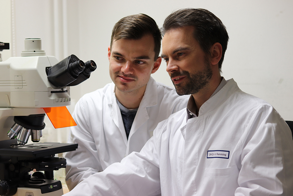 Doktorand Thomas Wohlfahrt (l.), Erstautor des Artikels, und Gruppenleiter Dr. Andreas Ramming vor einem Immunfluoreszenzmikroskop.