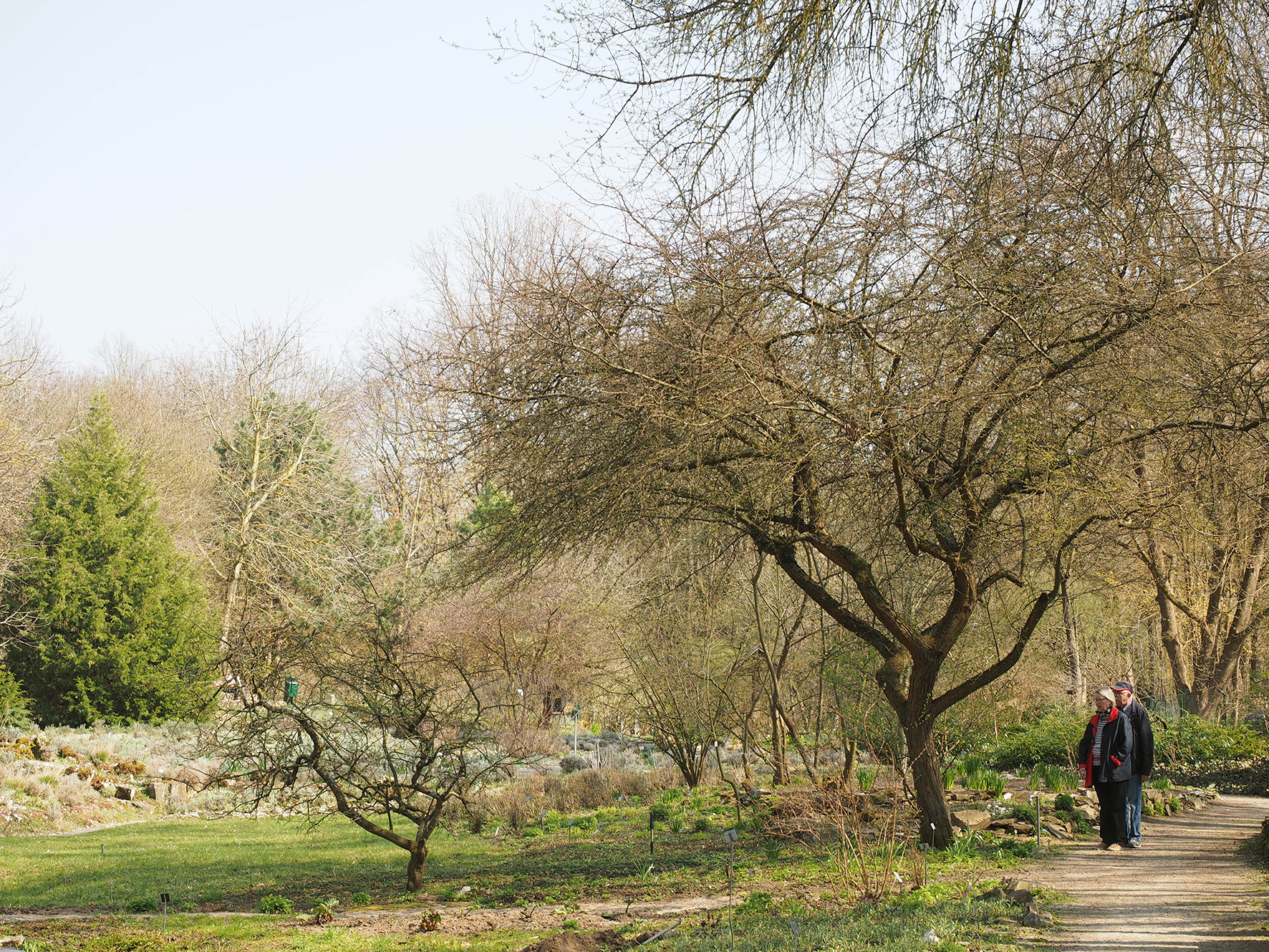 Pünktlich zum Frühjahr ist der Aromagarten wieder geöffnet. (Bild: FAU/Katrin Simon)