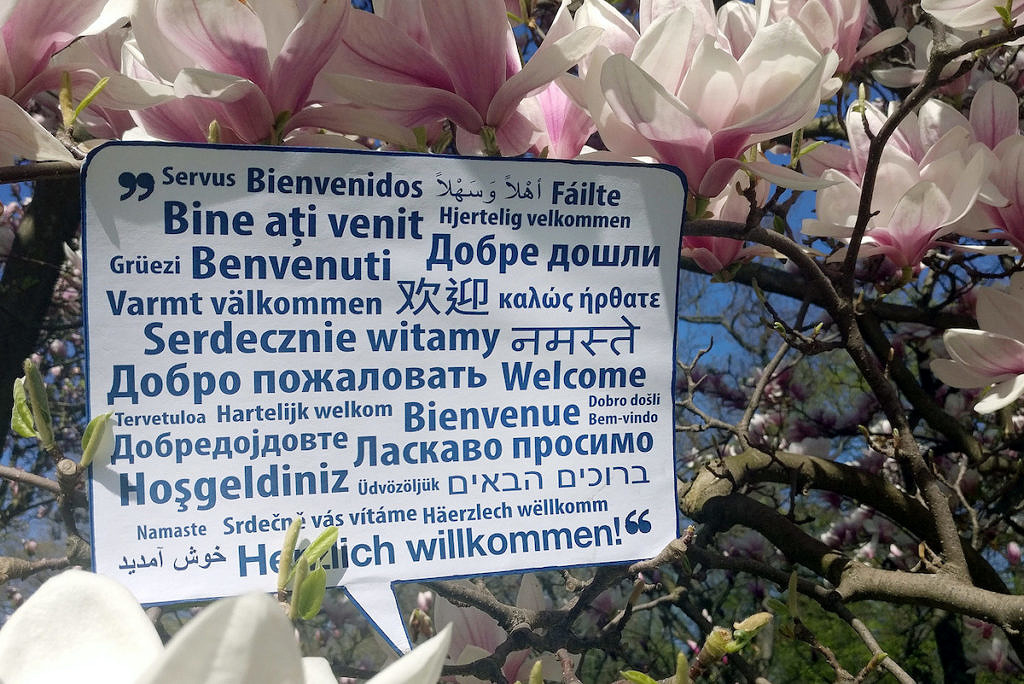 Willkommensschild in mehreren Sprachen in Magnolienbaum im Schlossgarten der Friedrich-Alexander-Universität Erlangen-Nürnberg
