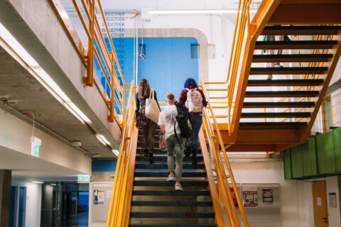 Drei Studierende laufen eine Treppe hoch.