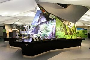 Mitmachelemente in der Ausstellung im Bionicum