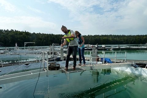 Dr. Alexander Frank und eine Kollegin entnehmen eine Wasserprobe.