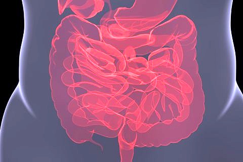 Eine grafische Röntgendarstellung des menschlichen Darms.