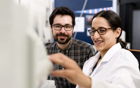 Eine Wissenschaftlerin zeigt ihrem Kollegen etwas am Elektronenmikroskop.