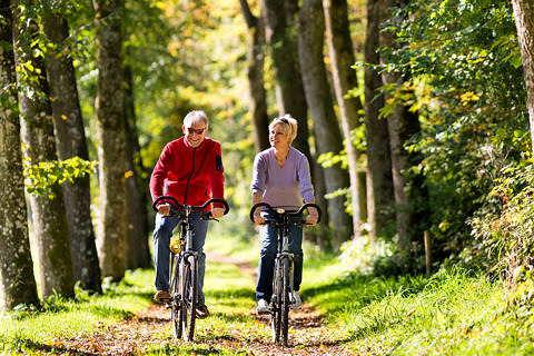 Radfahrer im Wald