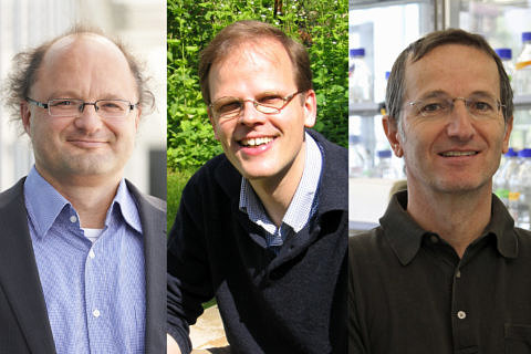 Collage mit Bildern von Prof. Dr. Peter Wasserscheid, Prof. Dr. Joachim von Zanthier und Prof. Dr. Thomas Brabletz
