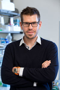 Prof. Dr. Gerhard Krönke