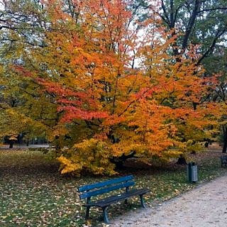 Instagram.com/uni_fau – die FAU auf Instagram