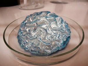 Schwellversuch mit Biopolymer-Hydrogel