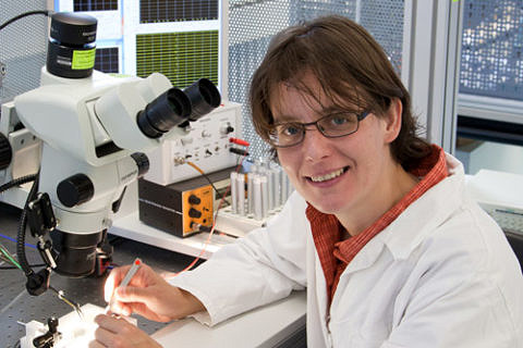 Zum Artikel "MDR: Prof. Dr. Katharina Zimmermann über den Kälteschmerz am Zahn"