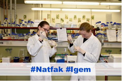 Zwei Studentinnen im Labor, darunter steht #Natfak und #lgem