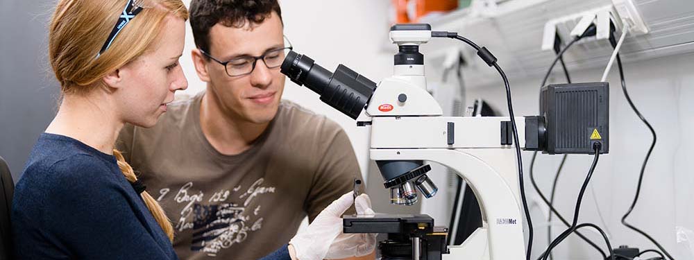 Researchers at a microscope.