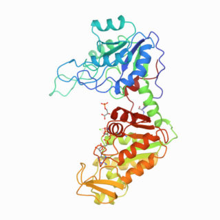 Zeichnung Protein