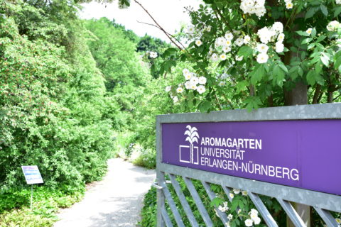 Auf einem Schild steht "Aromagarten Universität Erlangen-Nürnberg"