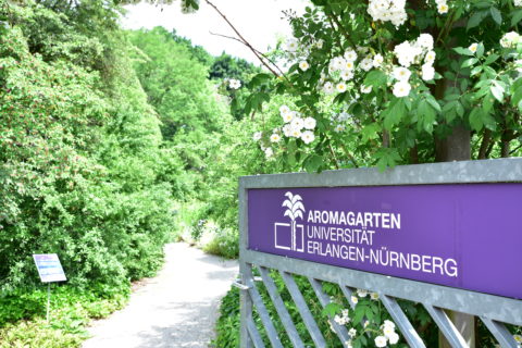 Schon am Eingang strömt den Besucher/-innen der Geruch heimischer und exotischer Pflanzen entgegen. (Bild: FAU/Deborah Pirchner)