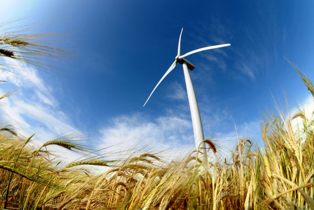 Windrad im Kornfeld