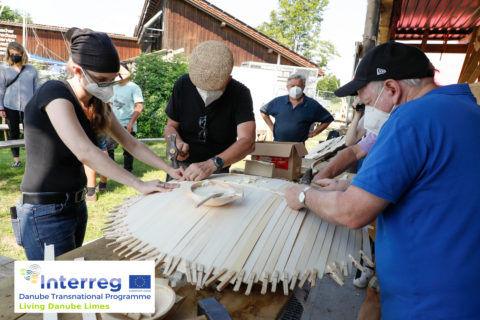 Symbolbild zum Artikel. Der Link öffnet das Bild in einer großen Anzeige.