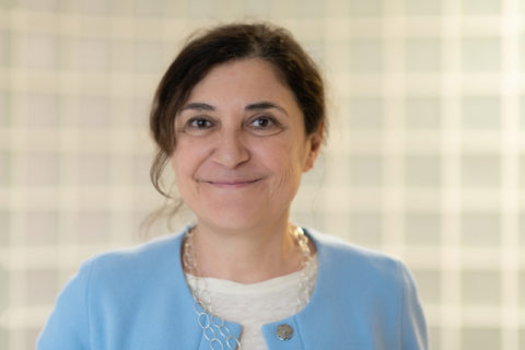 Prof. Dr. Yesim Erim